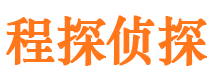 蔡甸婚外情调查取证